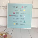 Time Line Box